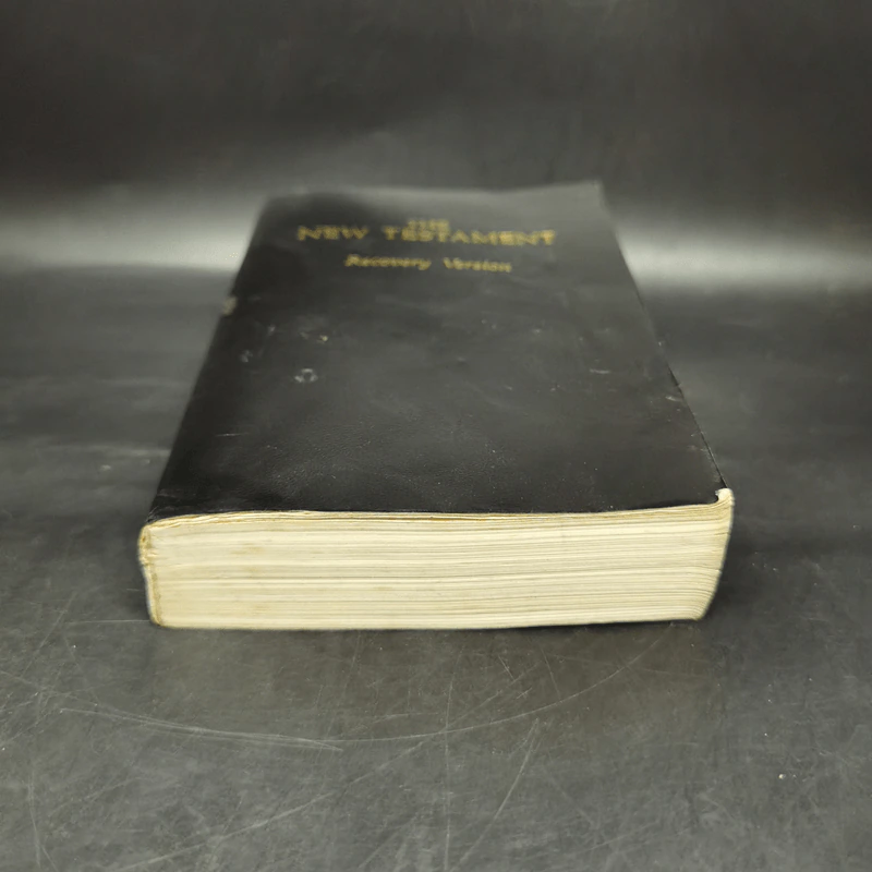 The New Testament Recovery Version รูปที่ 4