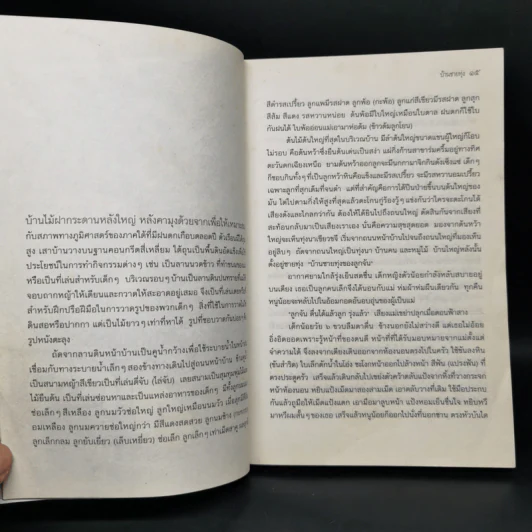 บ้านชายทุ่ง - จรรยา ชูสุวรรณ รูปที่ 11