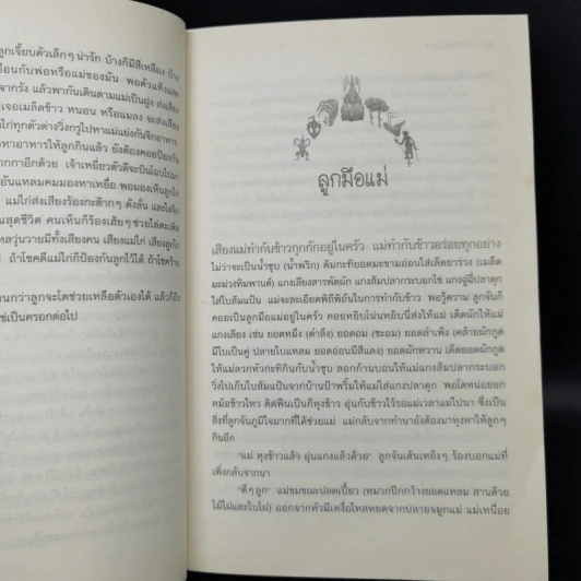บ้านชายทุ่ง - จรรยา ชูสุวรรณ รูปที่ 12
