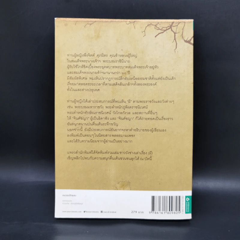 ชาววัง ช่างเล่าเรื่อง(ผี) - ดร.จินตนันท์ ชญาร์ ศุภมิตร (จินต์ชญา) รูปที่ 2