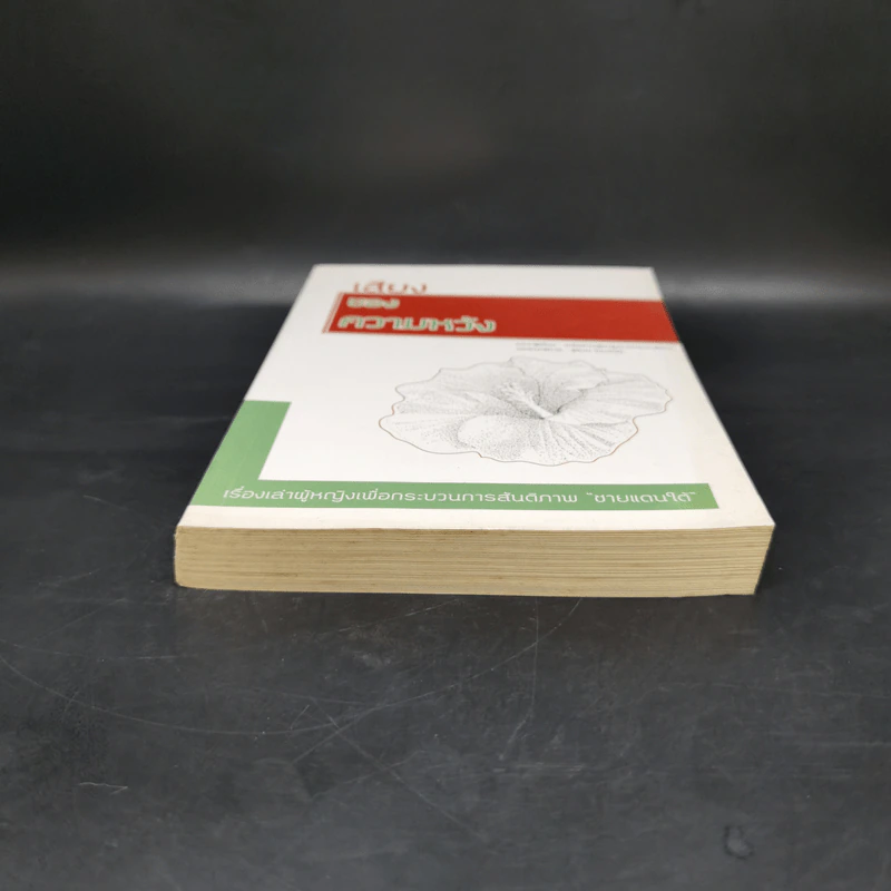 เสียงของความหวัง - เครือข่ายผู้หญิงภาคประชาสังคม รูปที่ 4