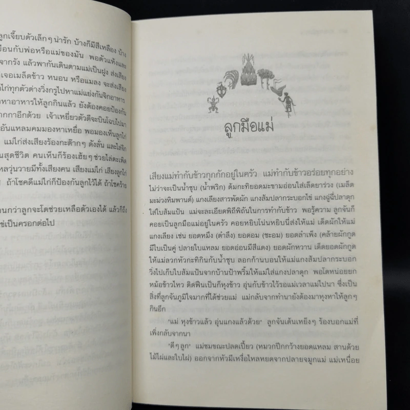 บ้านชายทุ่ง - จรรยา ชูสุวรรณ รูปที่ 12
