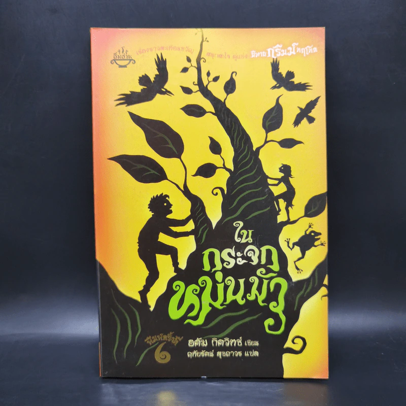 ในกระจกหม่นมัว - อดัม กิดวิทซ์ รูปที่ 1