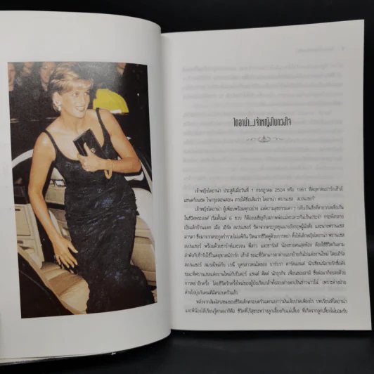 ไดอาน่าเจ้าหญิงในดวงใจ - วรรธนา วงษ์ฉัตร, ภัคพงษ์ รูปที่ 10