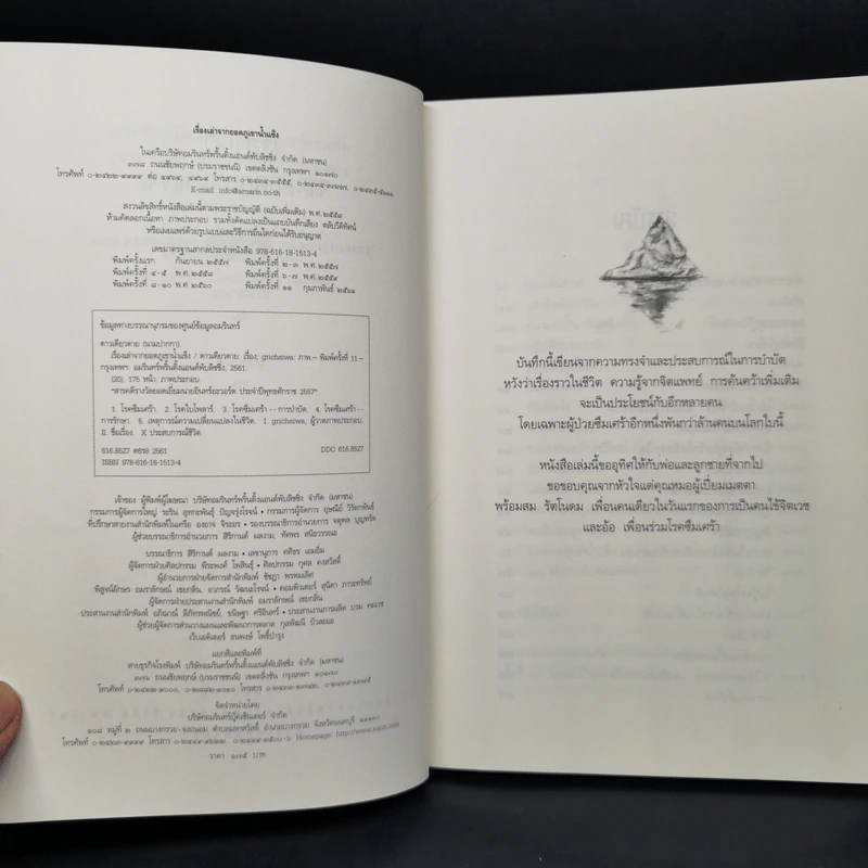เรื่องเล่าจากยอดภูเขาน้ำแข็ง - ดาวเดียวดาย รูปที่ 8