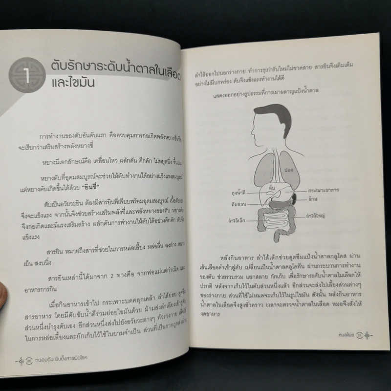 ถนอมตับ ยับยั้งสารพัดโรค - หมอไพร รูปที่ 11