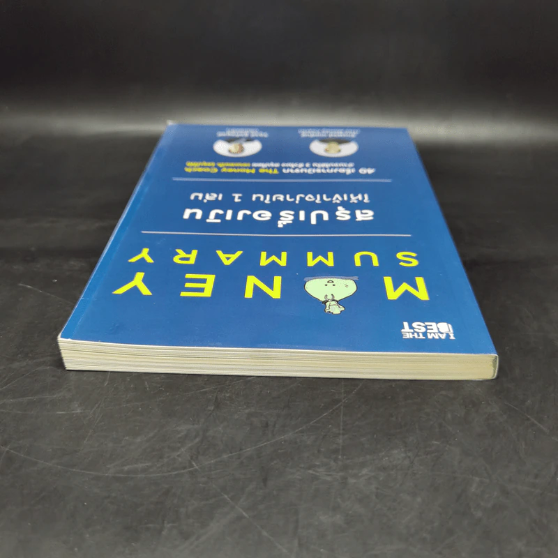 Money Summary สรุปเรื่องเงินให้เข้าใจง่ายใน 1 เล่ม - จักรพงษ์ เมษพันธุ์, วิฑูรย์ สูงกิจบูลย์ รูปที่ 6