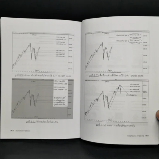 เทคนิควิเคราะห์หุ้น Fibonacci Trading - Smart Investor รูปที่ 13