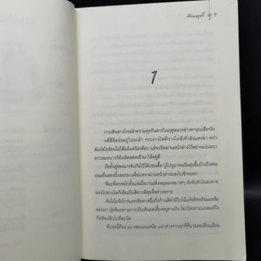แม่ทัพใหญ่ผู้นี้คือสามีข้า 3 เล่มจบ - เทียนหรูอวี้ รูปที่ 8