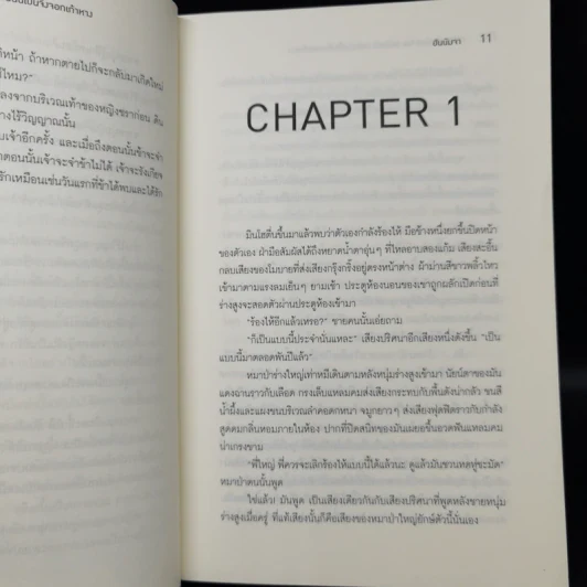 Nine-Tailed Fox ขอโทษที แฟนฉันเป็นจิ้งจอกเก้าหาง - ฮันนัมจา รูปที่ 11