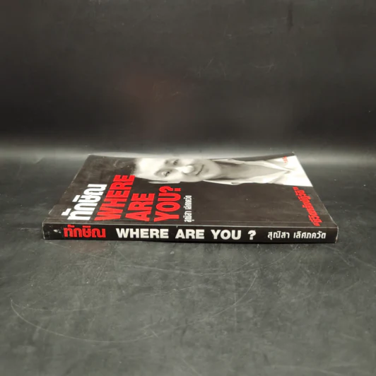 ทักษิณ Where Are You ชีวิตหลังปฎิวัติ - สุณิสา เลิศภควัต รูปที่ 3