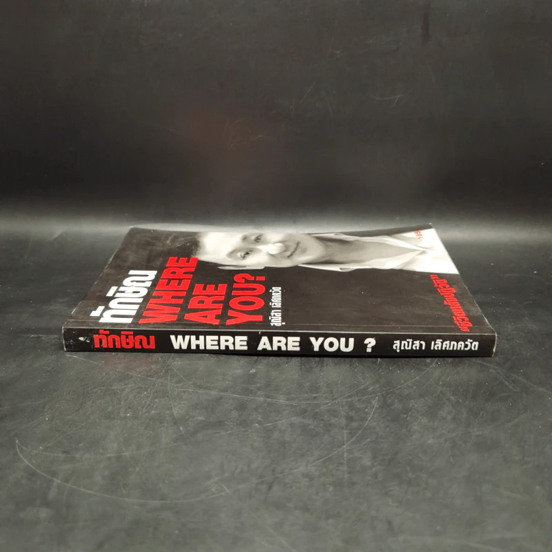 ทักษิณ Where Are You ชีวิตหลังปฎิวัติ - สุณิสา เลิศภควัต รูปที่ 3