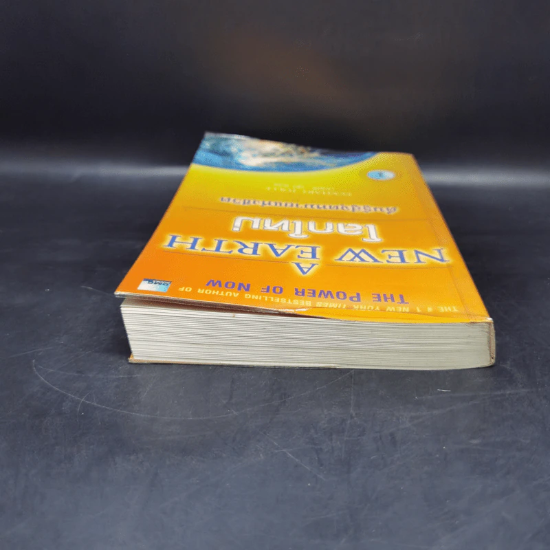 A New Earth โลกใหม่ ตื่นรู้สู่จุดหมายแห่งชีวิต - Eckhart Tolle รูปที่ 6