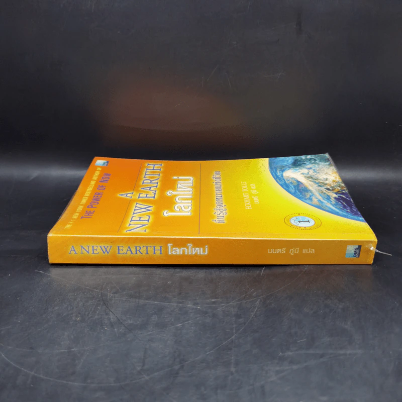 A New Earth โลกใหม่ ตื่นรู้สู่จุดหมายแห่งชีวิต - Eckhart Tolle รูปที่ 3