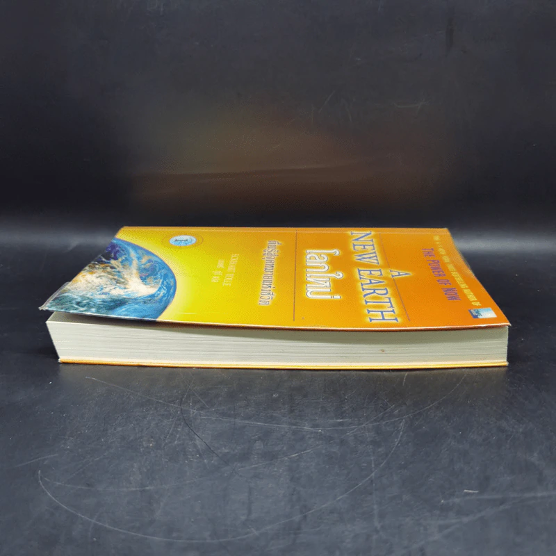 A New Earth โลกใหม่ ตื่นรู้สู่จุดหมายแห่งชีวิต - Eckhart Tolle รูปที่ 5