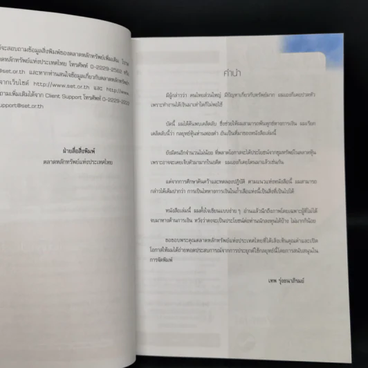 กลยุทธ์หุ้นห่านทองคำ - เทพ รุ่งธนาภิรมย์ รูปที่ 9