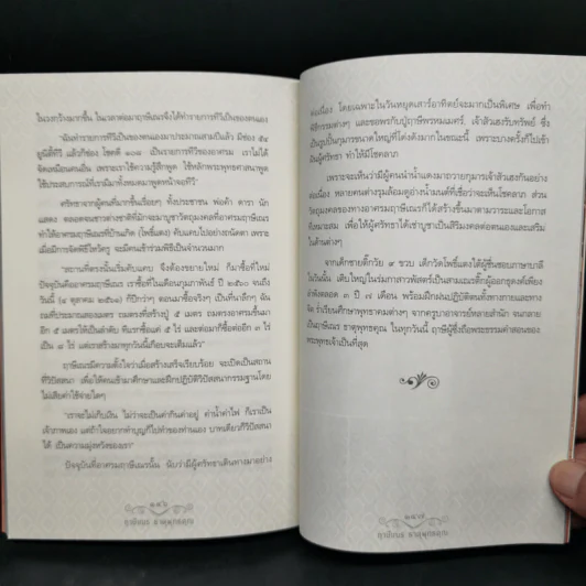 ฤาษีเณร ธาตุพุทธคุณ รูปที่ 12