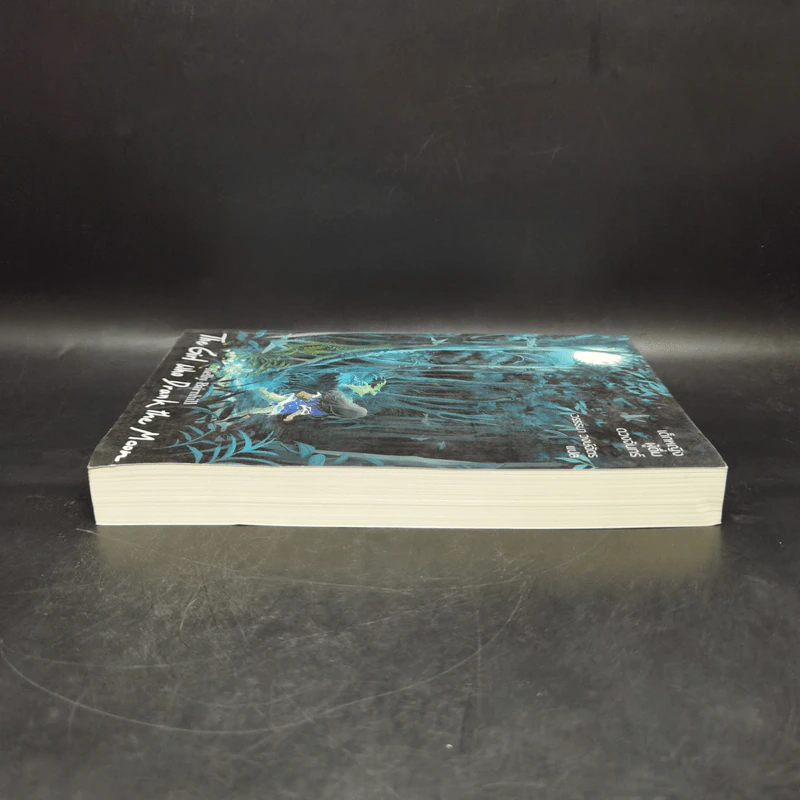 เด็กหญิงผู้ดื่มดวงจันทร์ The Girl Who Drank The Moon - เคลลี่ บาร์นฮิล (Kelly Barnhill) รูปที่ 5