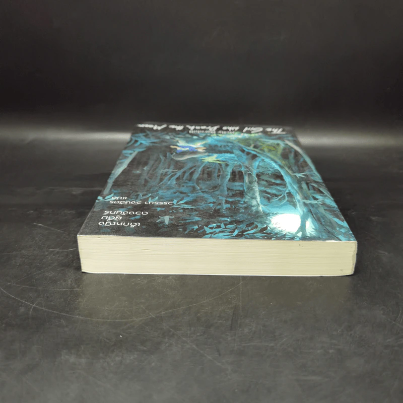 เด็กหญิงผู้ดื่มดวงจันทร์ The Girl Who Drank The Moon - เคลลี่ บาร์นฮิล (Kelly Barnhill) รูปที่ 6