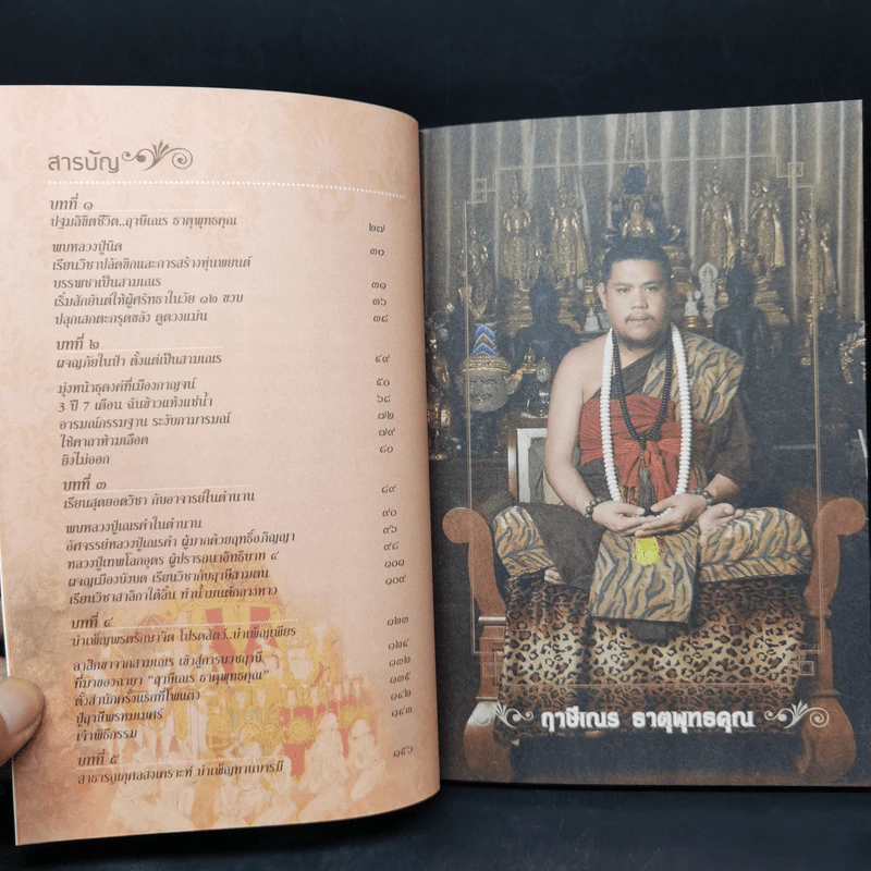 ฤาษีเณร ธาตุพุทธคุณ รูปที่ 10
