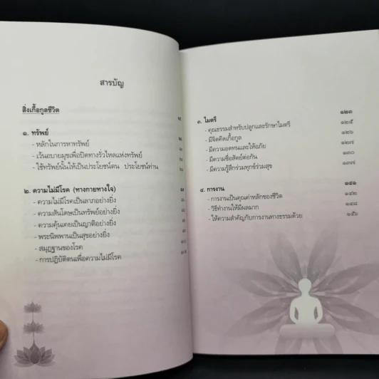 สิ่งเกื้อกูลชีวิต - วศิน อินทสระ รูปที่ 9