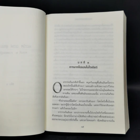 The Lord of the Rings ลอร์ด ออฟ เดอะ ริงส์ 2 ตอนหอคอยคู่พิฆาต รูปที่ 10