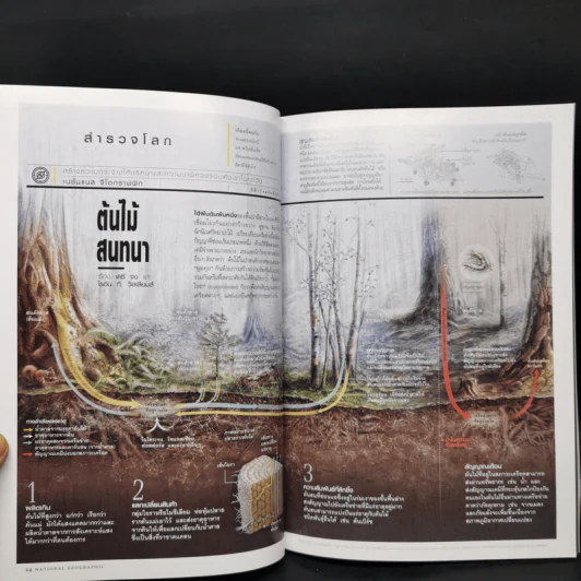 National Geographic ฉบับที่ 203 มิ.ย.2561 เห็นแก่โลกหรือพลาสติก รูปที่ 10