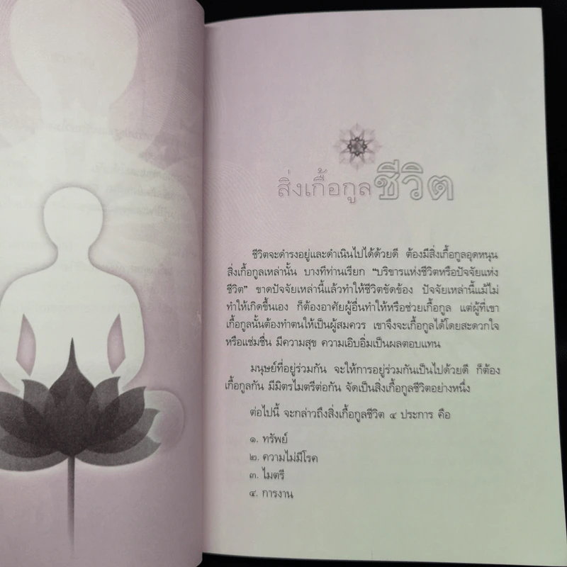 สิ่งเกื้อกูลชีวิต - วศิน อินทสระ รูปที่ 10