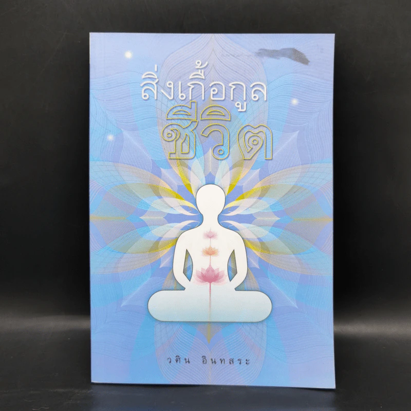 สิ่งเกื้อกูลชีวิต - วศิน อินทสระ รูปที่ 1