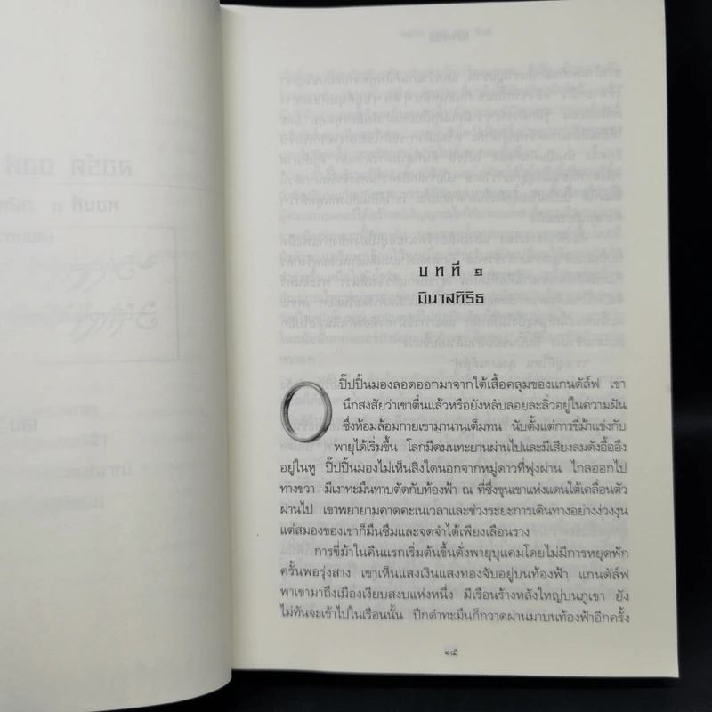The Lord of the Rings ลอร์ดออฟเดอะริงส์ ตอน กษัตริย์คืนบัลลังก์ รูปที่ 10