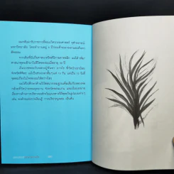 จุดตะเกียงดีกว่าด่าความมืด - ดร.วรภัทร์ ภู่เจริญ รูปที่ 10