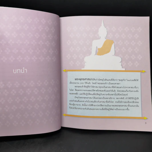 อัจฉริยะ 100 หน้า พระพุทธศาสนา รูปที่ 9