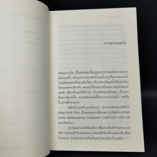 บ้านร้างกลางสวน - วัธนา บุญยัง รูปที่ 10