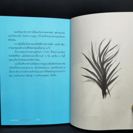 จุดตะเกียงดีกว่าด่าความมืด - ดร.วรภัทร์ ภู่เจริญ รูปที่ 10