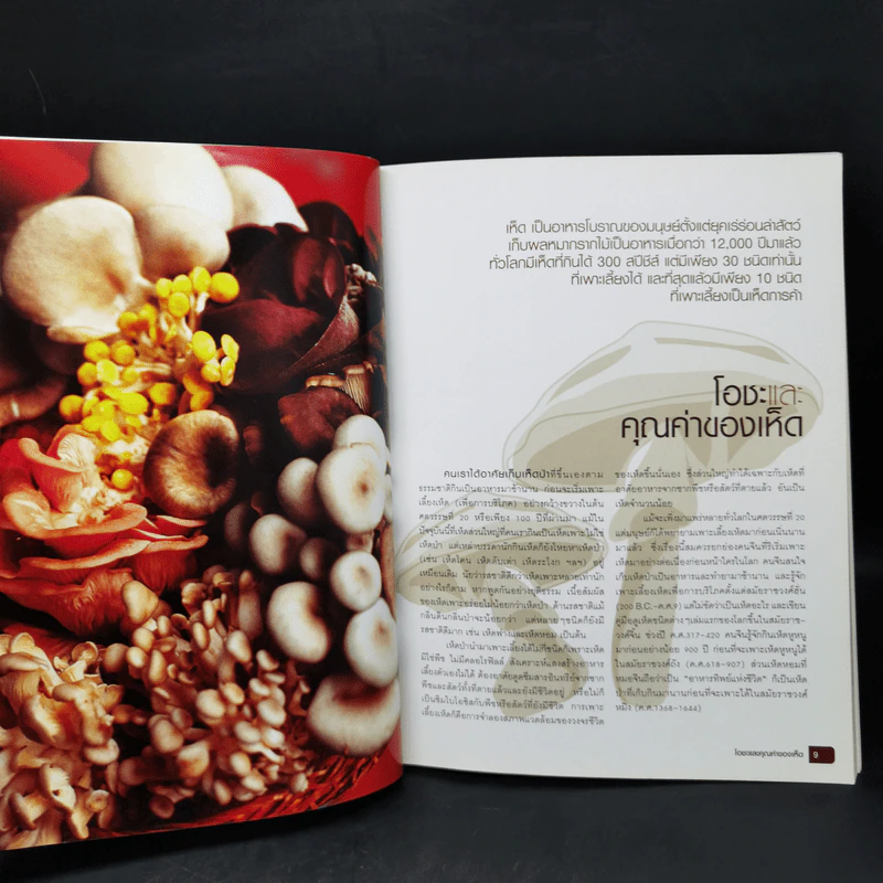 ตำรับเห็ด รสเด็ดสรรพคุณเพียบ รูปที่ 10