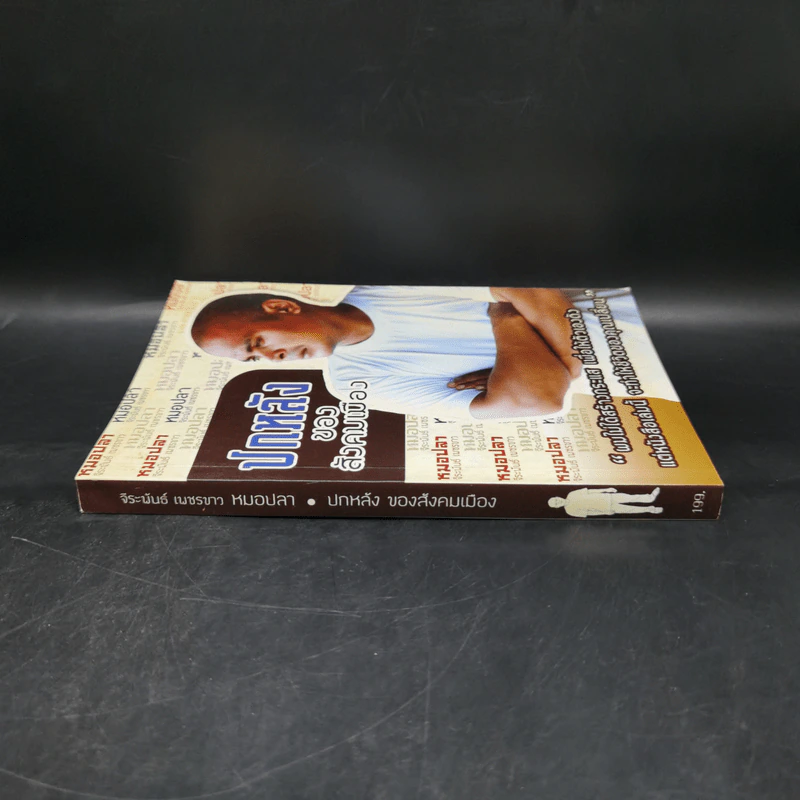 ปกหลังของสังคมเมือง - หมอปลา รูปที่ 3