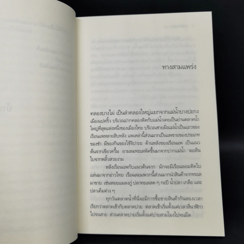 บ้านร้างกลางสวน - วัธนา บุญยัง รูปที่ 10