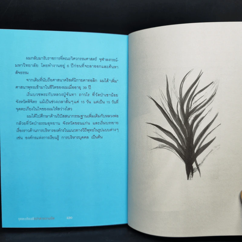 จุดตะเกียงดีกว่าด่าความมืด - ดร.วรภัทร์ ภู่เจริญ รูปที่ 10