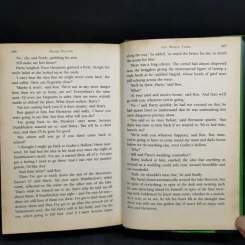 Harry Potter and the Half-Blood Prince รูปที่ 11