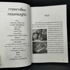 การเพาะเลี้ยงหอยเศรษฐกิจ รูปที่ 8