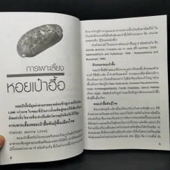 การเพาะเลี้ยงหอยเศรษฐกิจ รูปที่ 10