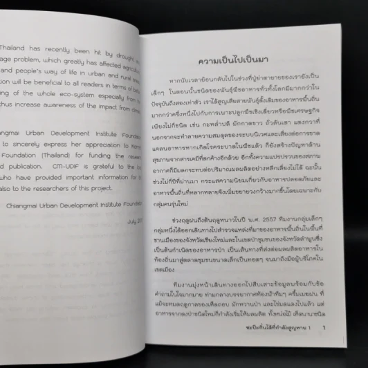ซะป๊ะกิ๋นได้ที่กำลังสูญหาย รูปที่ 10
