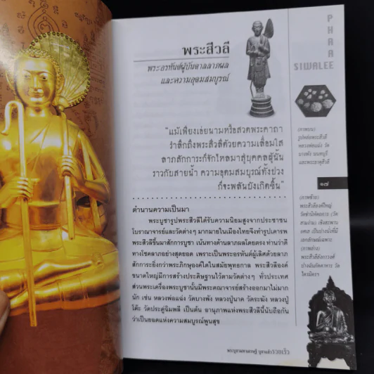 พระบูชามหาเศรษฐี บูชาแล้วรวยเร็ว - ทศพล จังพานิชย์กุล รูปที่ 8