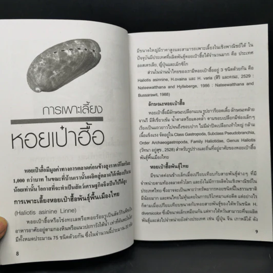 การเพาะเลี้ยงหอยเศรษฐกิจ รูปที่ 10