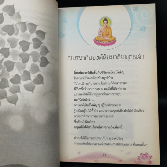 สนทนากับองค์สัมมาสัมพุทธเจ้า เล่ม 1-2 - พ.อ.นพ.พงศ์ศักดิ์ ตั้งคณา รูปที่ 10
