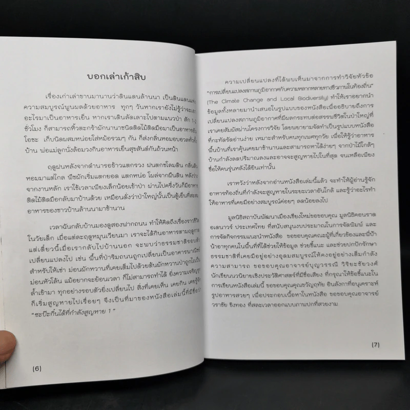 ซะป๊ะกิ๋นได้ที่กำลังสูญหาย รูปที่ 9