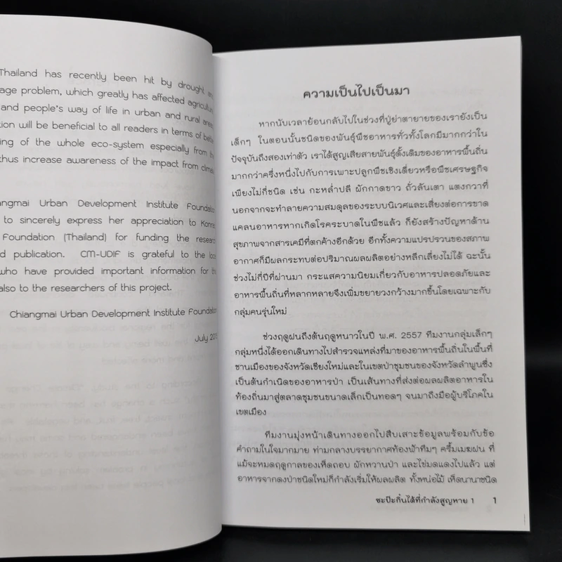 ซะป๊ะกิ๋นได้ที่กำลังสูญหาย รูปที่ 10