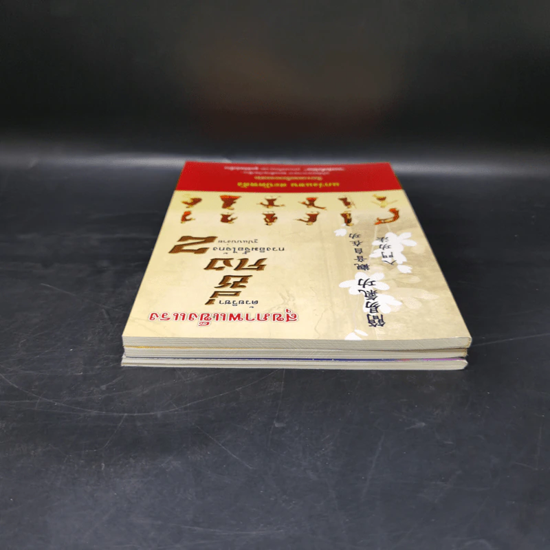สุขภาพแข็งแรงด้วยวิชาซี่กง กวงอิมจื้อไจ้กง 3 เล่ม รูปที่ 5