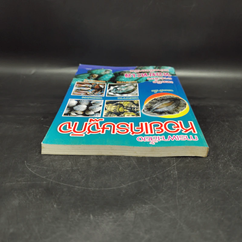 การเพาะเลี้ยงหอยเศรษฐกิจ รูปที่ 6