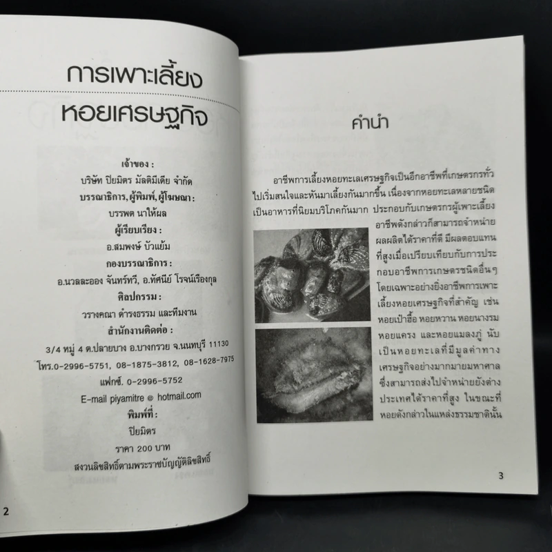 การเพาะเลี้ยงหอยเศรษฐกิจ รูปที่ 8